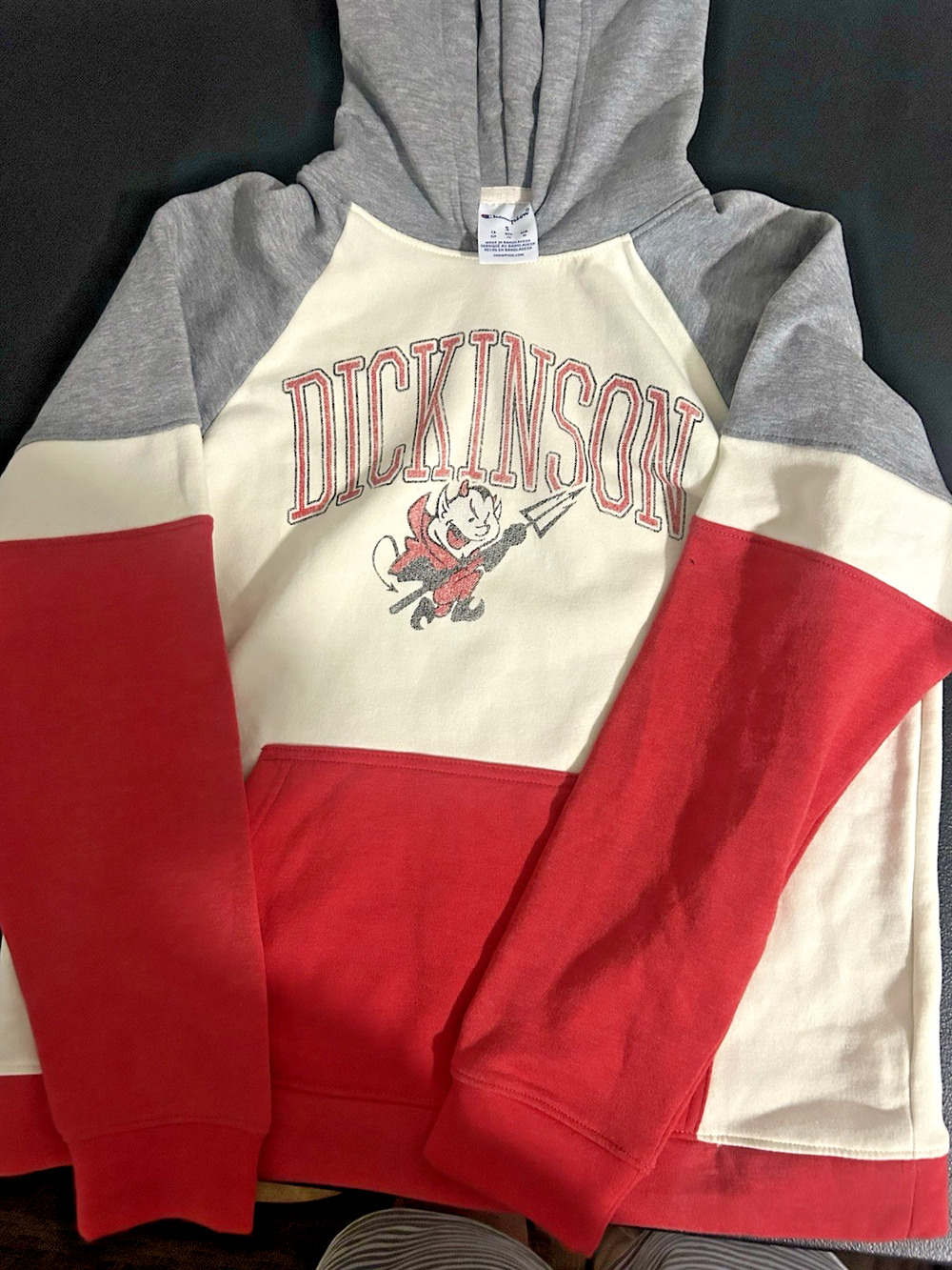 Vintage Champion Dickinson College Red Devils Hoodie Small Colorblock NCAA D3